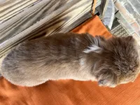 processed/eefe735e-b7d2-4ad1-8eae-d68f54e97d77/listing/49e5a876-ba22-43c6-81d6-78a63317b422/8a399805-8b0b-48bd-9a50-037474d69679