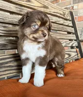 processed/eefe735e-b7d2-4ad1-8eae-d68f54e97d77/listing/49e5a876-ba22-43c6-81d6-78a63317b422/ac311924-48ba-492f-a15d-cce1dc8effbf