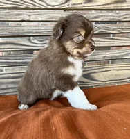 processed/eefe735e-b7d2-4ad1-8eae-d68f54e97d77/listing/49e5a876-ba22-43c6-81d6-78a63317b422/f71b72f3-edb7-4c2e-9b40-2a83c8655daf