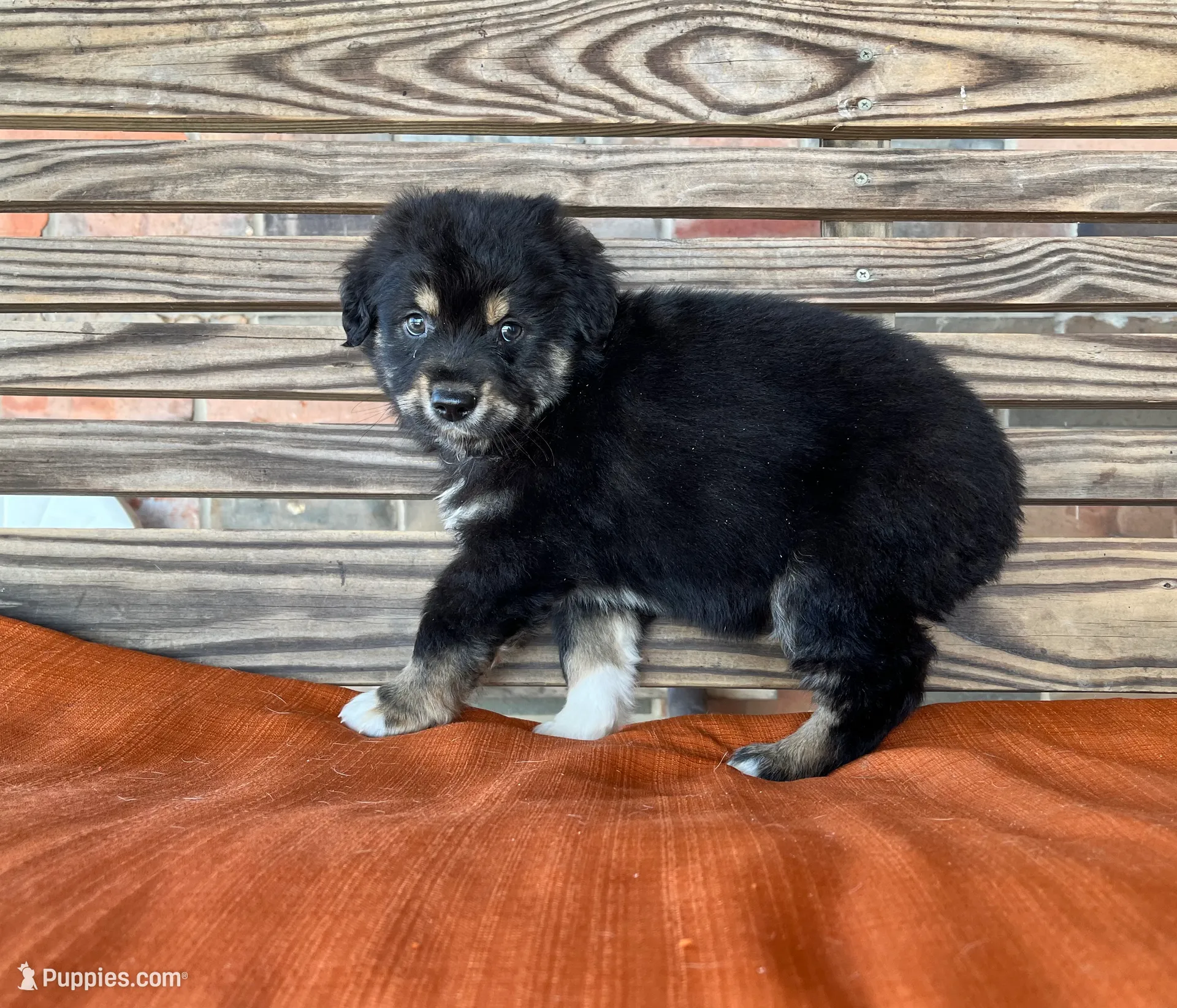 processed/eefe735e-b7d2-4ad1-8eae-d68f54e97d77/listing/9a2e8b40-3979-4a70-ac50-bce0a9e315f5/2bc3c63b-022f-437a-a1a9-9c9c8caa4315