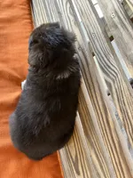 processed/eefe735e-b7d2-4ad1-8eae-d68f54e97d77/listing/9a2e8b40-3979-4a70-ac50-bce0a9e315f5/5f08598e-7227-4711-a2e0-7f3c5255a0d3