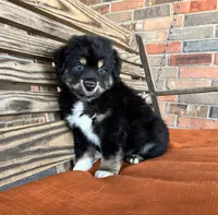 processed/eefe735e-b7d2-4ad1-8eae-d68f54e97d77/listing/9a2e8b40-3979-4a70-ac50-bce0a9e315f5/7200dd14-4d9e-4b9d-9883-a776da56631a