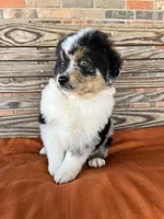 processed/eefe735e-b7d2-4ad1-8eae-d68f54e97d77/listing/be99ab66-0e31-4515-baeb-cb7fbcc6c935/31492d10-b136-46a5-a806-c0ac1ce5d5ea