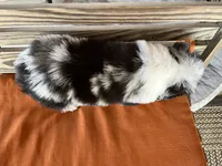 processed/eefe735e-b7d2-4ad1-8eae-d68f54e97d77/listing/be99ab66-0e31-4515-baeb-cb7fbcc6c935/cc2f519f-2371-487d-b68f-894e328d3a5c