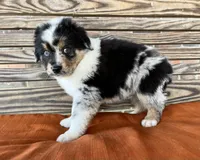 processed/eefe735e-b7d2-4ad1-8eae-d68f54e97d77/listing/be99ab66-0e31-4515-baeb-cb7fbcc6c935/cedfaab3-c32a-41d9-a71d-d8bc86c2e7c4