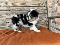 processed/eefe735e-b7d2-4ad1-8eae-d68f54e97d77/listing/be99ab66-0e31-4515-baeb-cb7fbcc6c935/d4a22e8a-a1d7-4d05-a8ae-309318a18aa9