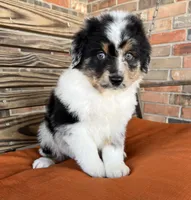 processed/eefe735e-b7d2-4ad1-8eae-d68f54e97d77/listing/be99ab66-0e31-4515-baeb-cb7fbcc6c935/ef535586-78b0-474b-8337-16cbf09862c6