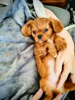 processed/ef00b114-1c93-4530-a67c-650cdc485527/facility/3f6c8d92-0667-457a-8b29-71a3f942c166