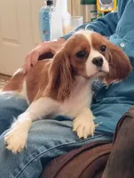 processed/ef00b114-1c93-4530-a67c-650cdc485527/facility/7a93a730-77aa-467d-8d4e-6cbb838e7e9c