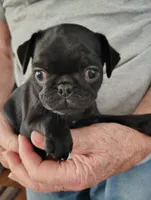 processed/ef00b114-1c93-4530-a67c-650cdc485527/facility/aaf55cfd-ddcd-4383-87fe-1b553f66751e