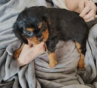 processed/ef00b114-1c93-4530-a67c-650cdc485527/facility/ae85c2fe-fb30-46ba-9230-697dc8bb6cf4