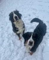 processed/ef01f04e-d76b-48d1-9dc9-bd9c7abbe979/facility/515234fb-6163-433e-a8c4-d87e16e5e14a