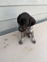 processed/ef07e135-a3e4-499d-bdef-4b2bff7b3a36/listing/2fc9d151-aea5-4442-b12c-59816854f6b4/3a9e936f-a06c-40e3-80a9-9c962827304f