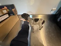 processed/ef07e135-a3e4-499d-bdef-4b2bff7b3a36/listing/2fc9d151-aea5-4442-b12c-59816854f6b4/de6823f0-bfcb-445f-b208-04277b39996e