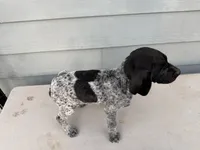 processed/ef07e135-a3e4-499d-bdef-4b2bff7b3a36/listing/2fc9d151-aea5-4442-b12c-59816854f6b4/ebde3ba4-bb52-4b84-b842-8ef803e8c5cf