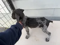 processed/ef07e135-a3e4-499d-bdef-4b2bff7b3a36/listing/a50e84fa-f2da-4541-b0f9-e0fdda9a3333/6f6acbf3-da92-4b73-9819-61ea83a82186