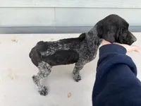 processed/ef07e135-a3e4-499d-bdef-4b2bff7b3a36/listing/a50e84fa-f2da-4541-b0f9-e0fdda9a3333/7fab951c-5f19-4a4c-a9c3-2e90e3b29659