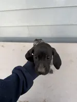 processed/ef07e135-a3e4-499d-bdef-4b2bff7b3a36/listing/a50e84fa-f2da-4541-b0f9-e0fdda9a3333/c8d25f36-660a-4128-b5f6-295593c6a5e7