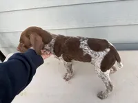 processed/ef07e135-a3e4-499d-bdef-4b2bff7b3a36/listing/a70e3439-ddd3-4f52-8187-f34a8b40df4f/199749e2-4b00-494a-a07b-0d7e878df5a8