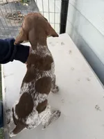 processed/ef07e135-a3e4-499d-bdef-4b2bff7b3a36/listing/a70e3439-ddd3-4f52-8187-f34a8b40df4f/39e1bd74-0356-4e3a-8993-95e788ff0830