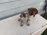 processed/ef07e135-a3e4-499d-bdef-4b2bff7b3a36/listing/a70e3439-ddd3-4f52-8187-f34a8b40df4f/a96cb594-272d-455f-a8f2-bba0f644dafb