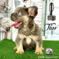 processed/ef0d9c93-a3d0-4926-bd95-36a969ba4607/facility/02b38db1-32fb-4821-9b8d-4421b6605e40