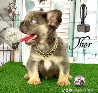 processed/ef0d9c93-a3d0-4926-bd95-36a969ba4607/facility/02b38db1-32fb-4821-9b8d-4421b6605e40