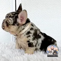 processed/ef0d9c93-a3d0-4926-bd95-36a969ba4607/facility/28c05c1d-3edf-42e7-b514-db550951b190