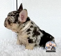 processed/ef0d9c93-a3d0-4926-bd95-36a969ba4607/facility/28c05c1d-3edf-42e7-b514-db550951b190