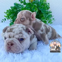 processed/ef0d9c93-a3d0-4926-bd95-36a969ba4607/facility/312770d6-24bf-4b9c-b152-9e97264b76ec