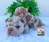 processed/ef0d9c93-a3d0-4926-bd95-36a969ba4607/facility/312770d6-24bf-4b9c-b152-9e97264b76ec