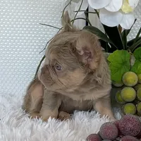 processed/ef0d9c93-a3d0-4926-bd95-36a969ba4607/facility/3e00300a-cde2-46fd-afdd-916476e863a8