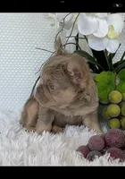 processed/ef0d9c93-a3d0-4926-bd95-36a969ba4607/facility/3e00300a-cde2-46fd-afdd-916476e863a8