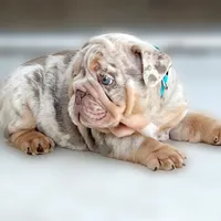 processed/ef0d9c93-a3d0-4926-bd95-36a969ba4607/facility/6700f5f3-713f-4c98-8d10-fcf369081298