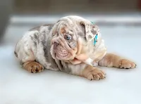 processed/ef0d9c93-a3d0-4926-bd95-36a969ba4607/facility/6700f5f3-713f-4c98-8d10-fcf369081298