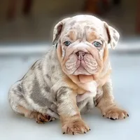 processed/ef0d9c93-a3d0-4926-bd95-36a969ba4607/facility/a2f7339a-1595-4995-a11a-101077e1df66