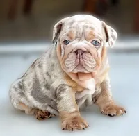 processed/ef0d9c93-a3d0-4926-bd95-36a969ba4607/facility/a2f7339a-1595-4995-a11a-101077e1df66