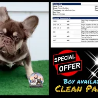 processed/ef0d9c93-a3d0-4926-bd95-36a969ba4607/facility/d9d8b53e-f0de-4320-8ef1-624bc6893585