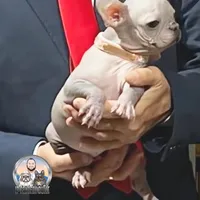 processed/ef0d9c93-a3d0-4926-bd95-36a969ba4607/facility/de174f2a-fae5-4e4b-be59-46958ba1003c