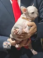 processed/ef0d9c93-a3d0-4926-bd95-36a969ba4607/facility/de174f2a-fae5-4e4b-be59-46958ba1003c