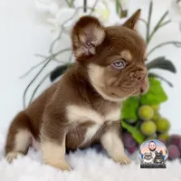 processed/ef0d9c93-a3d0-4926-bd95-36a969ba4607/facility/ea96f1ef-8c2d-4990-a42b-561bd10965aa