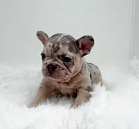 processed/ef0d9c93-a3d0-4926-bd95-36a969ba4607/listing/541b8d4a-e6dc-4a8d-b78a-b711cd2dcacd/7b7590e3-3f6c-4e21-9e95-ec729a2f5ebf