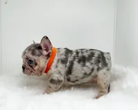 processed/ef0d9c93-a3d0-4926-bd95-36a969ba4607/listing/541b8d4a-e6dc-4a8d-b78a-b711cd2dcacd/a8b4536b-2bb3-4016-8bc1-099bbe25f3a4