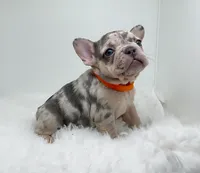 processed/ef0d9c93-a3d0-4926-bd95-36a969ba4607/listing/541b8d4a-e6dc-4a8d-b78a-b711cd2dcacd/a9de6f9a-8b66-4c80-b962-396b179cad91