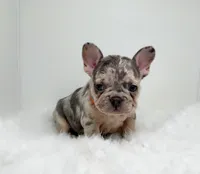 processed/ef0d9c93-a3d0-4926-bd95-36a969ba4607/listing/541b8d4a-e6dc-4a8d-b78a-b711cd2dcacd/e9aec589-7add-4ada-af73-ad43d8240aa2