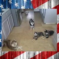 processed/ef0ff75c-8250-4d5f-9df5-f17d730d1811/facility/2c600139-7888-4049-937c-039f5cb7127f