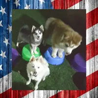 processed/ef0ff75c-8250-4d5f-9df5-f17d730d1811/facility/6fc677e0-9f68-4a28-8730-bcbc046baa5d