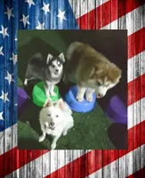 processed/ef0ff75c-8250-4d5f-9df5-f17d730d1811/facility/6fc677e0-9f68-4a28-8730-bcbc046baa5d