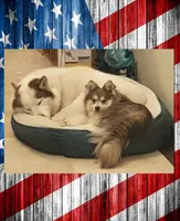 processed/ef0ff75c-8250-4d5f-9df5-f17d730d1811/facility/acece3e3-187f-42d8-9f3b-2d1830a22e4c