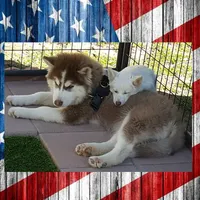 processed/ef0ff75c-8250-4d5f-9df5-f17d730d1811/facility/c6251d45-bf20-48cb-acf2-d945ad682f7f